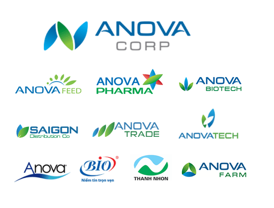 Công ty Thành Nhơn – Nova Group