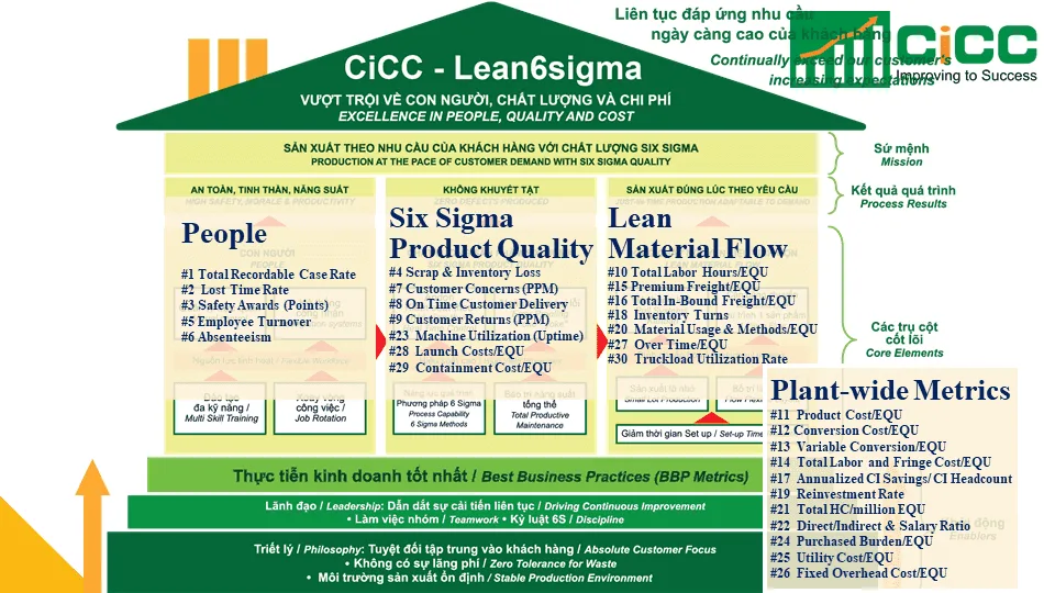 Lean Six Sigma Thực Hành | Đào tạo dựa trên Dự án