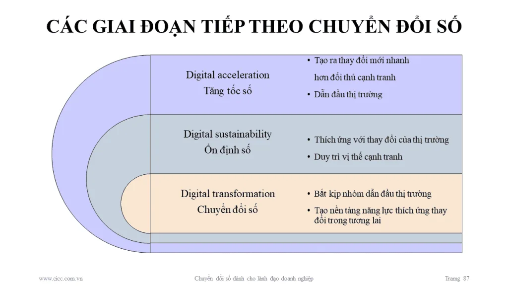 Chuyển đổi số dành cho lãnh đạo doanh nghiệp SME...