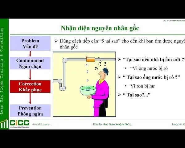 tư vấn áp dụng 8D