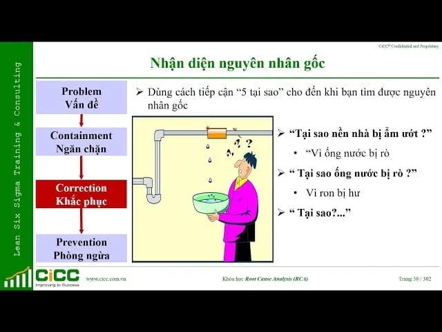 tư vấn áp dụng 8D